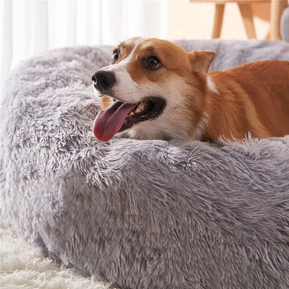 Dreamy Soft Snuggle Bed for Pets